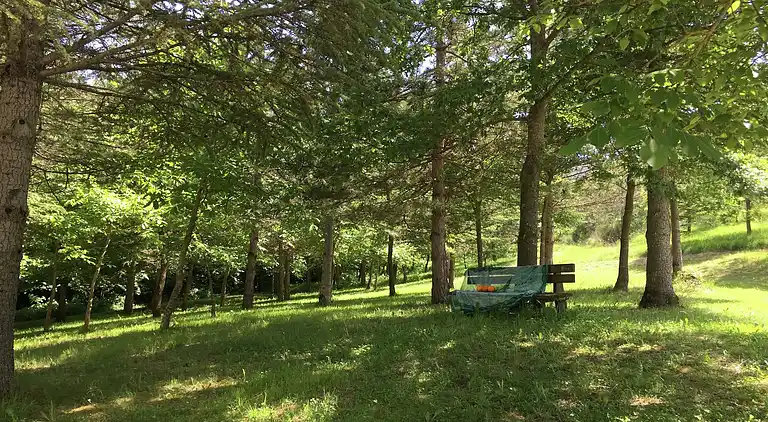 Manor house in Apecchio