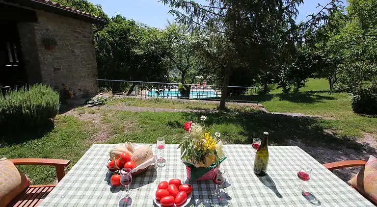 Farm house in Apecchio