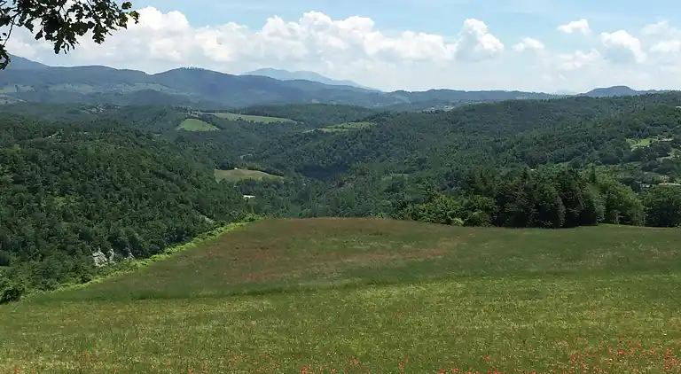 Farm house in Apecchio