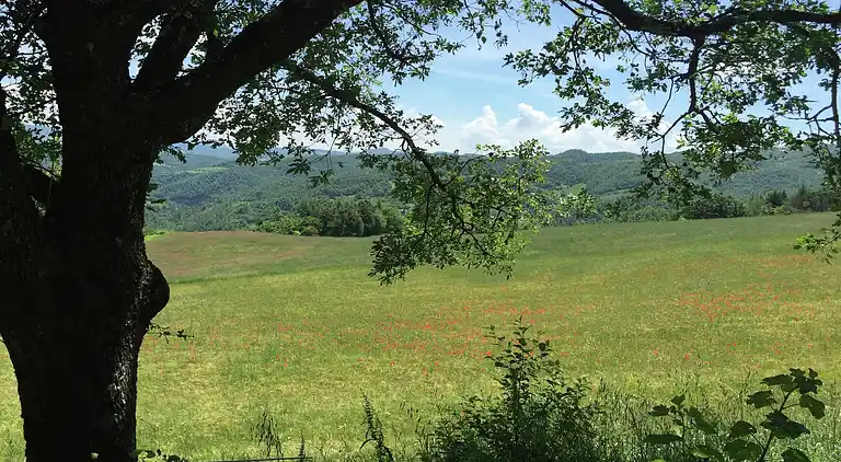 Farm house in Apecchio