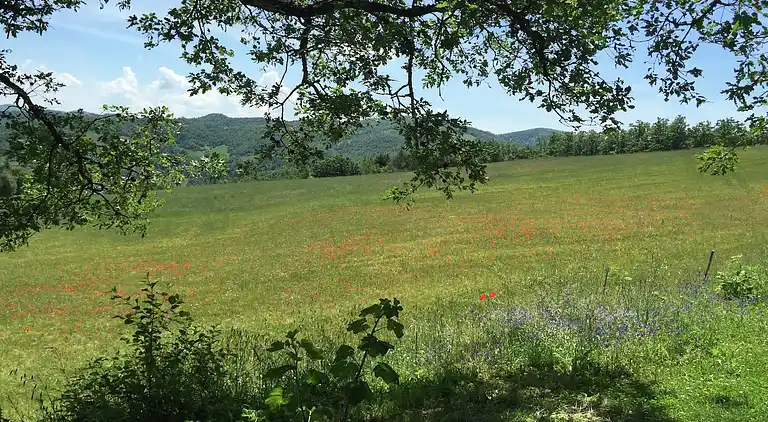 Farm house in Apecchio