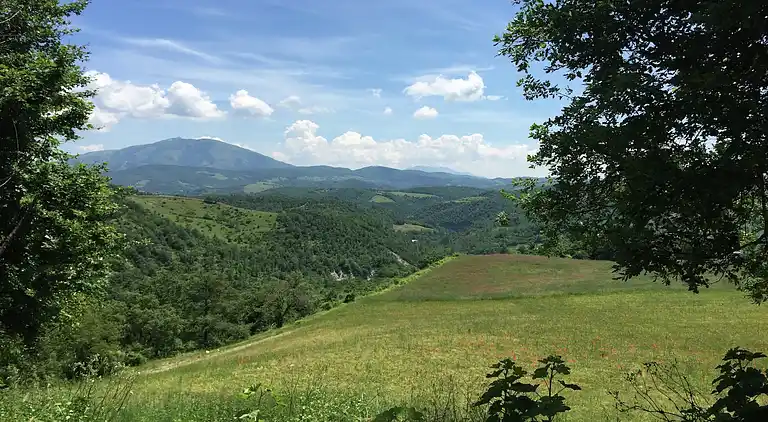 Farm house in Apecchio