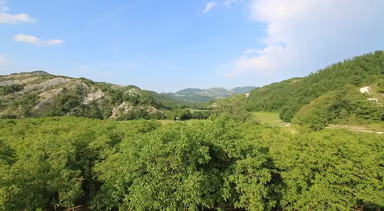 Manor house in Apecchio