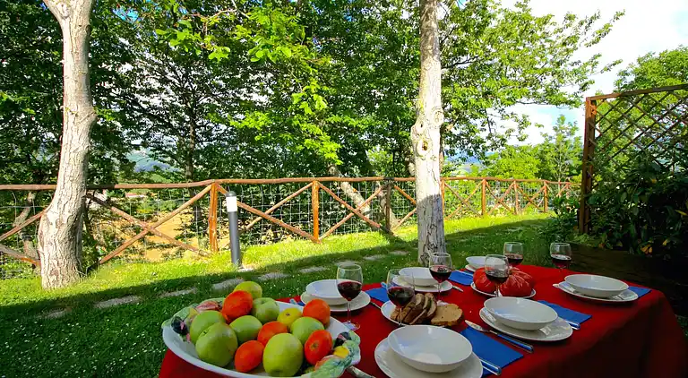Farm house in Cagli