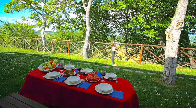 Farm house in Cagli
