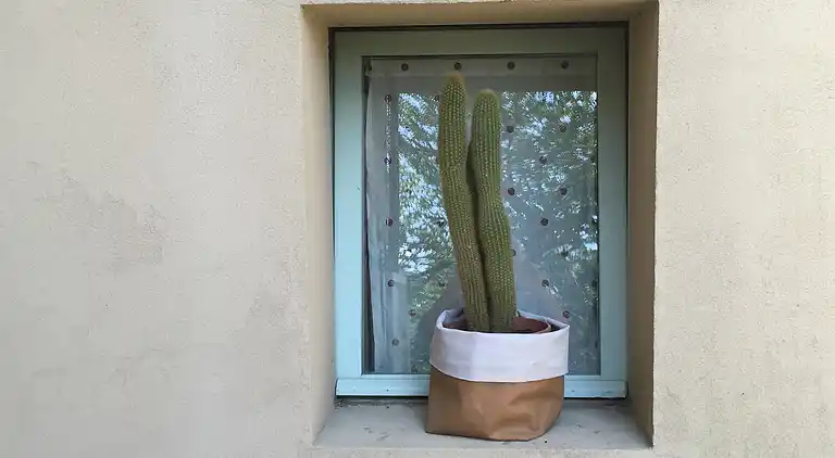 Cottage in Tranquillo