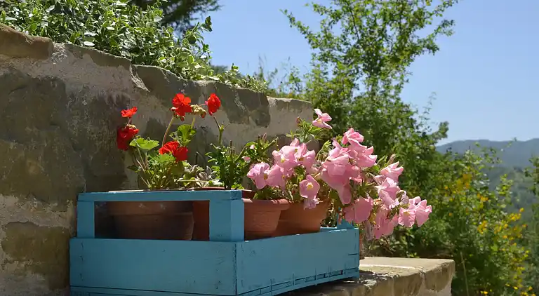 Cottage in Tranquillo