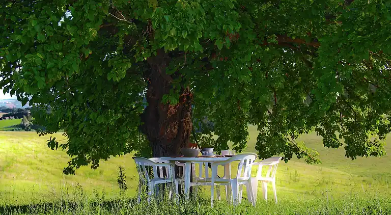 Casa señorial en Montecassiano