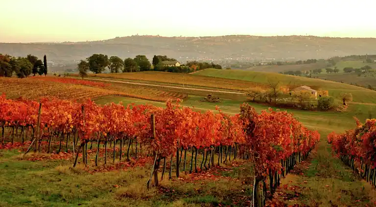 Casa señorial en Montecassiano