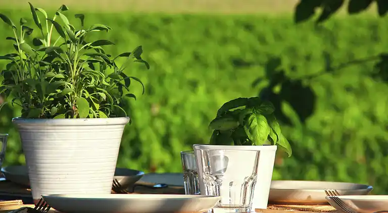 Casa señorial en Montecassiano