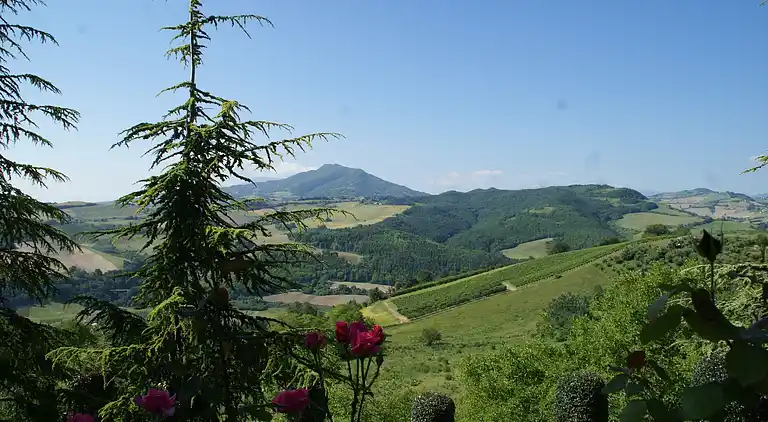 Holiday home in Montelparo