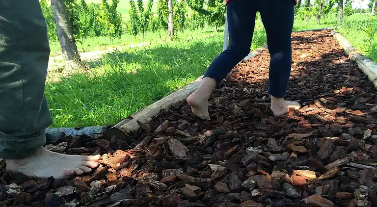 Holiday home in Pedaso