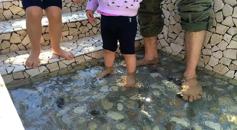 Holiday home in Pedaso