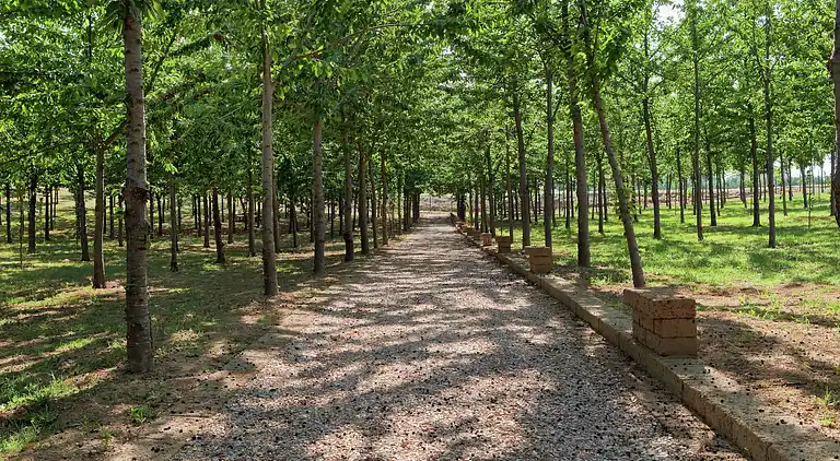 Casa de vacaciones en Pedaso
