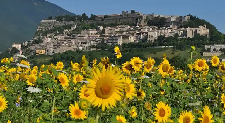 Mansione in Case Alte