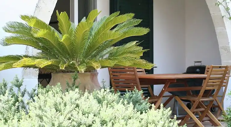 Holiday home in Nardò