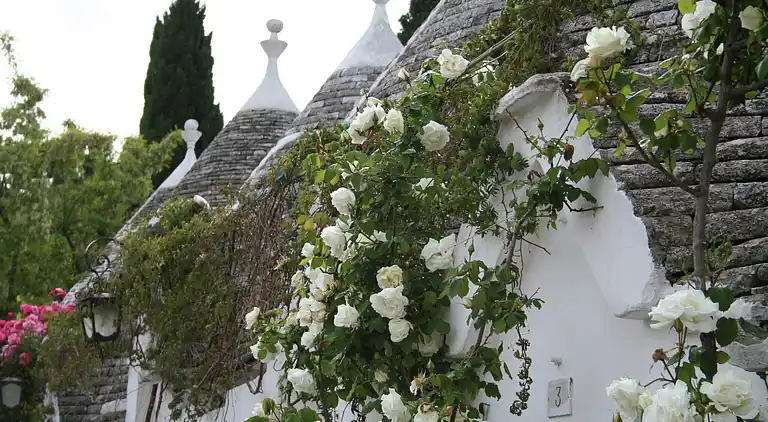 Holiday home in Nardò