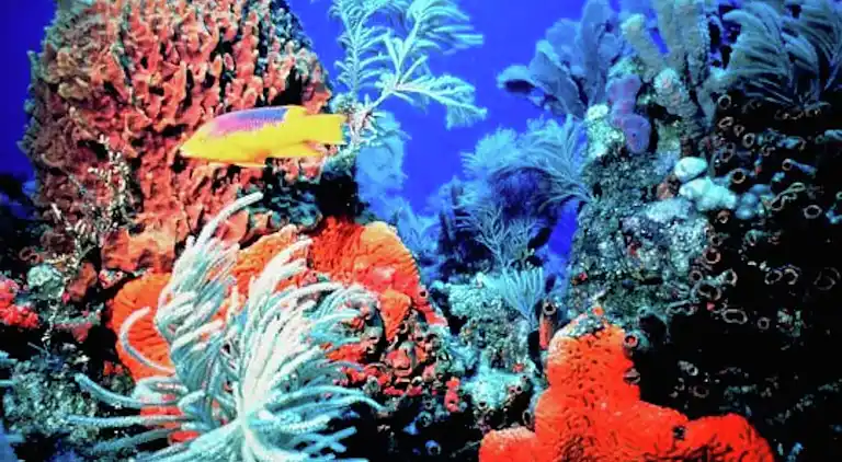 Holiday home in Nardò