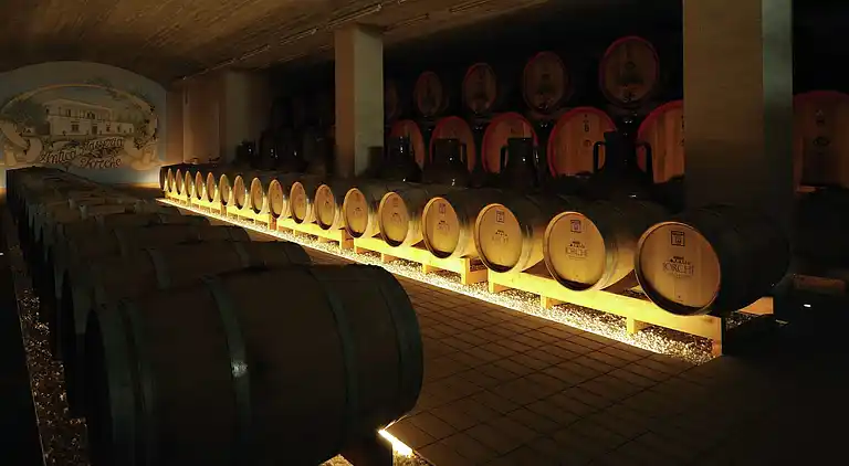 Herrgård i Torricella