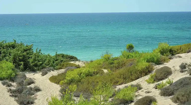 Herrgård i Torricella