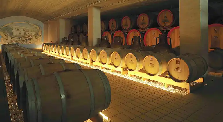 Herenhuis in Torricella