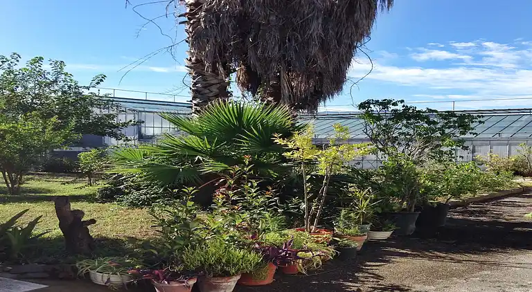 Semesterbostad i Trecase