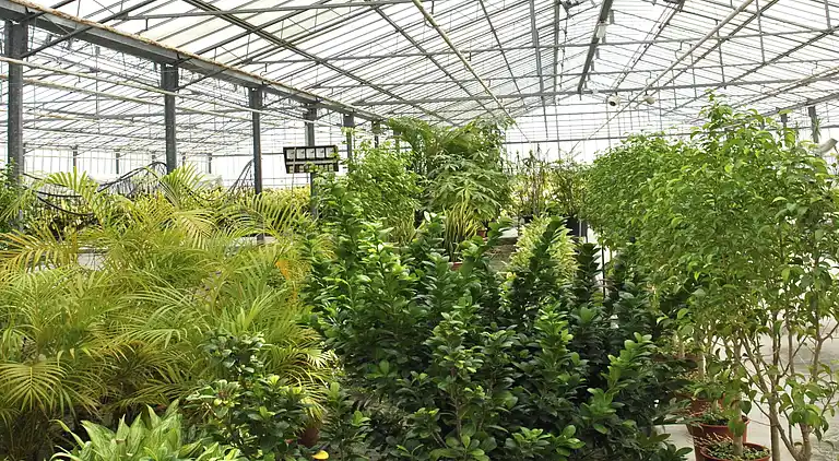 Semesterbostad i Trecase