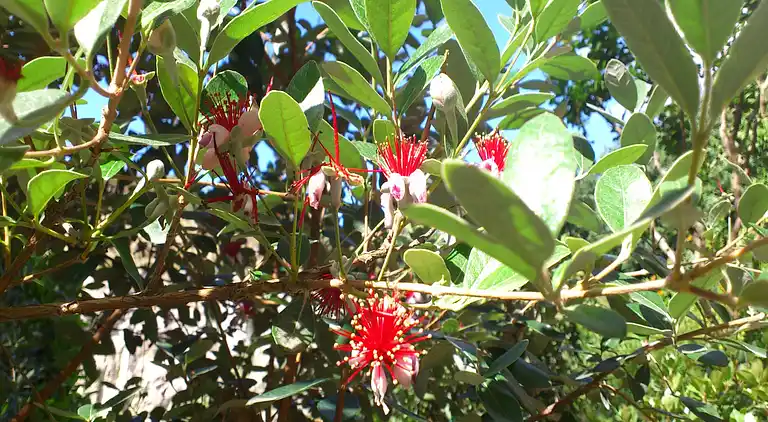 Holiday home in Riviera di Marcigliano