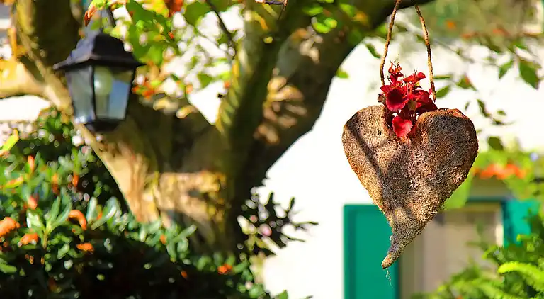 Holiday home in Termini