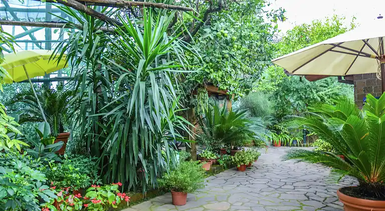 Manor house in Sorrento