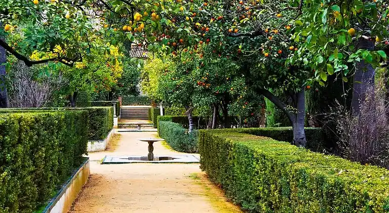 Holiday home in Sorrento