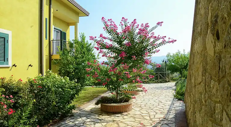 Semesterbostad i Torrecuso