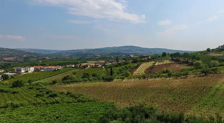 Semesterbostad i Torrecuso