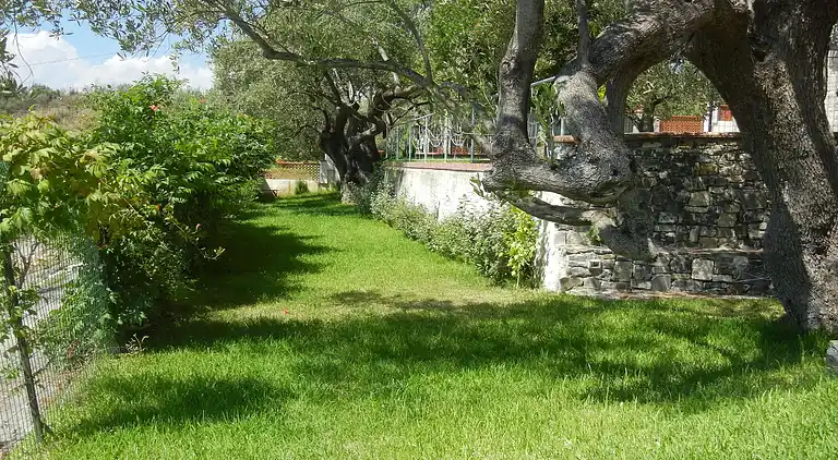 Holiday home in Ascea