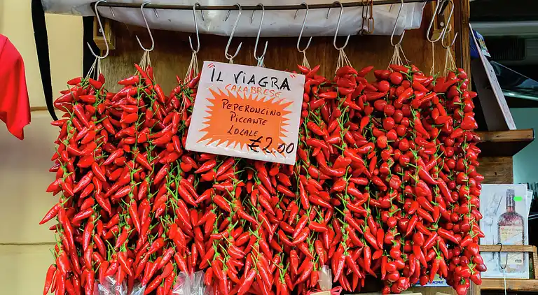 Manor house in Fitili