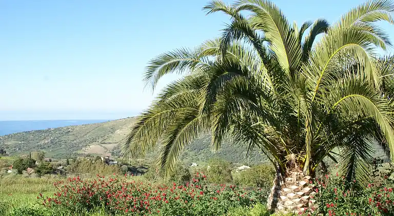 Holiday home in Collesano