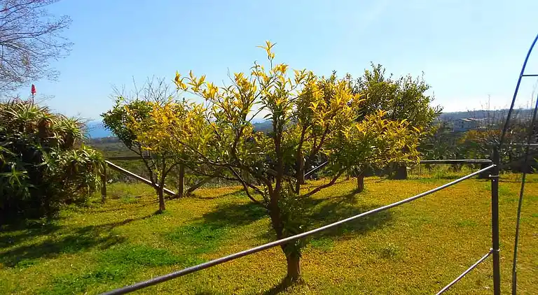 Sommerhus i Santa Venerina