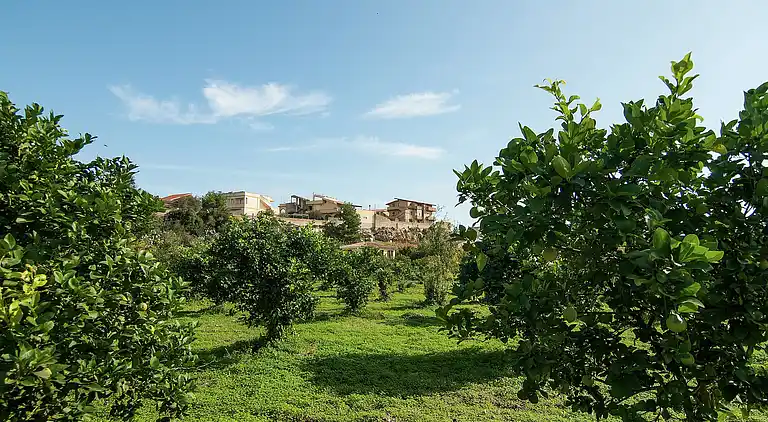 Holiday home in Lido di Noto