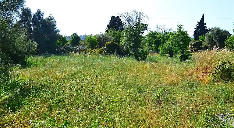 Semesterbostad i Lido di Noto