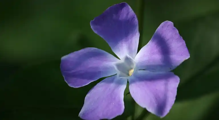 Holiday home in Geesteren