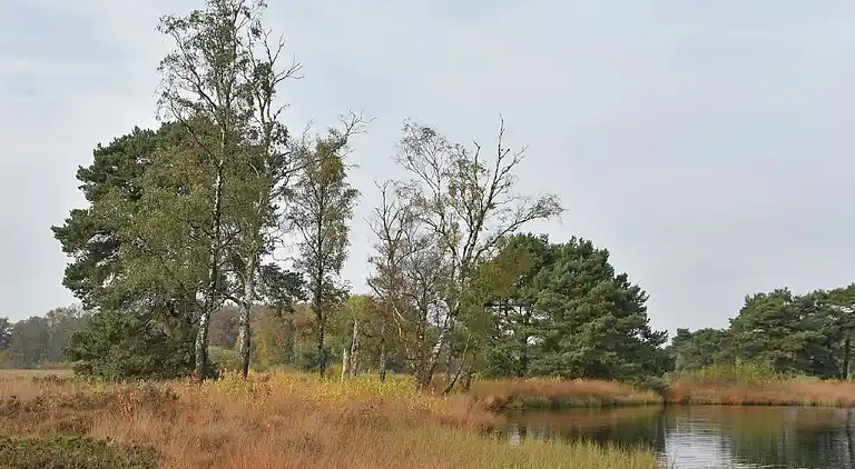 Holiday home in Geesteren