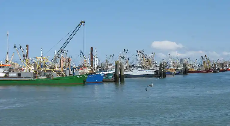 Feriebolig i Lauwersoog