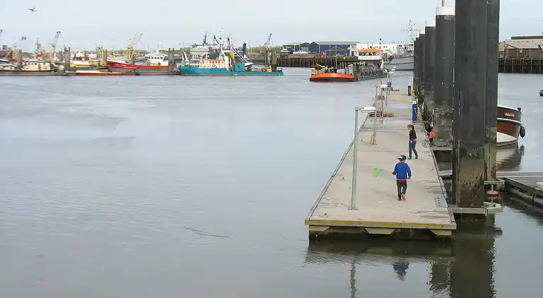 Feriebolig i Lauwersoog