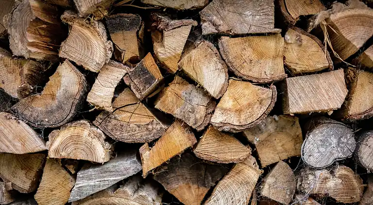 Feriebolig i Lauwersoog