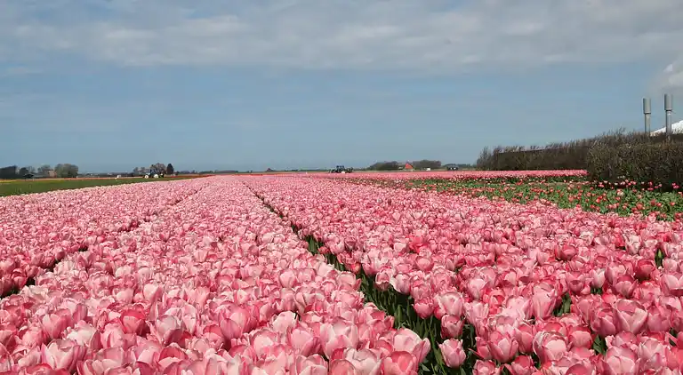 Holiday home in Limmen