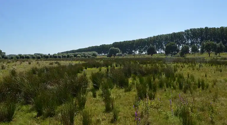 Holiday home in Veghel