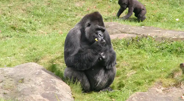 Holiday home in Nijkerk