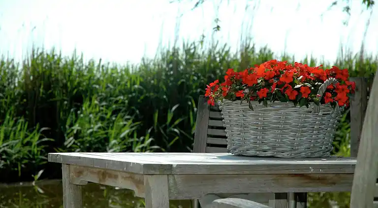 Semesterbostad i Amsterdam-Noord