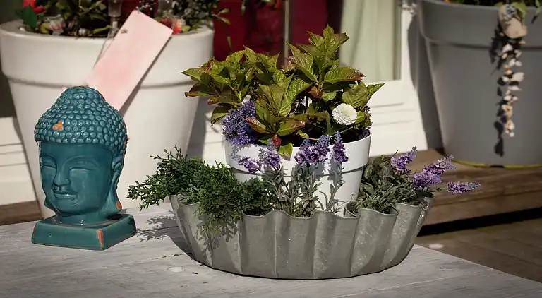 Houseboat in Amsterdam-Zuid