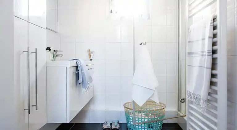 Péniche au Loosdrecht